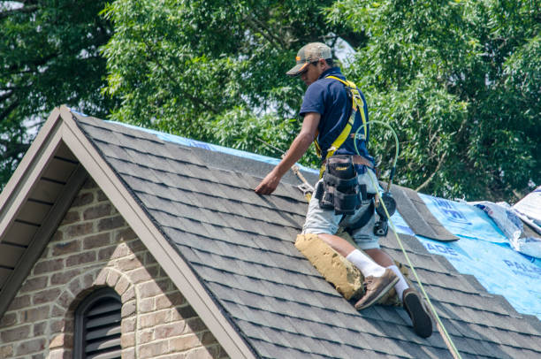 Best Residential Roofing Contractor  in Gibson, AR